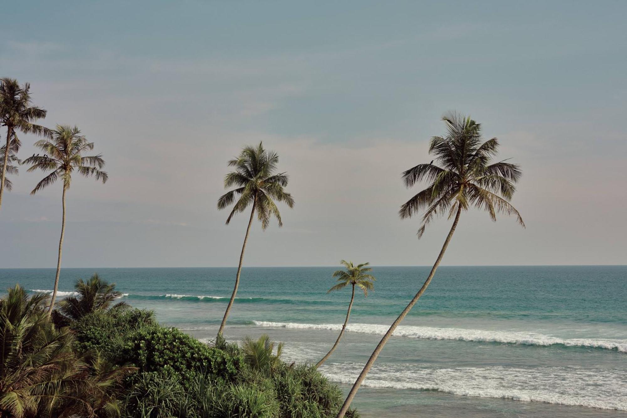 Gitano Surf Ahangama Beachfront Bagian luar foto